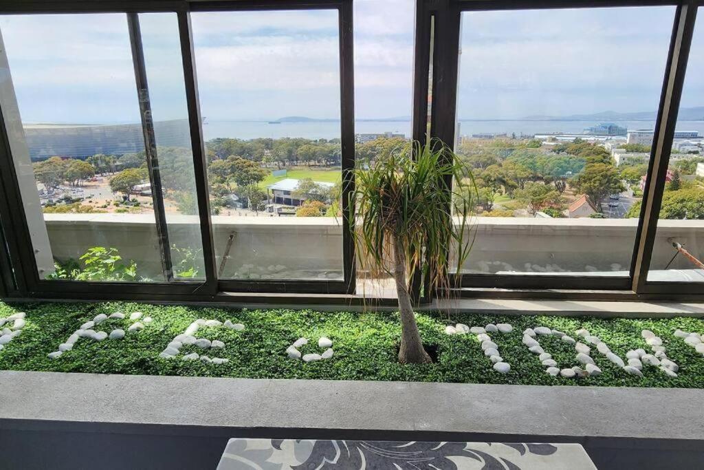 Luxury Apartment, Near V&a Waterfront And Cpt Stadium Apartment